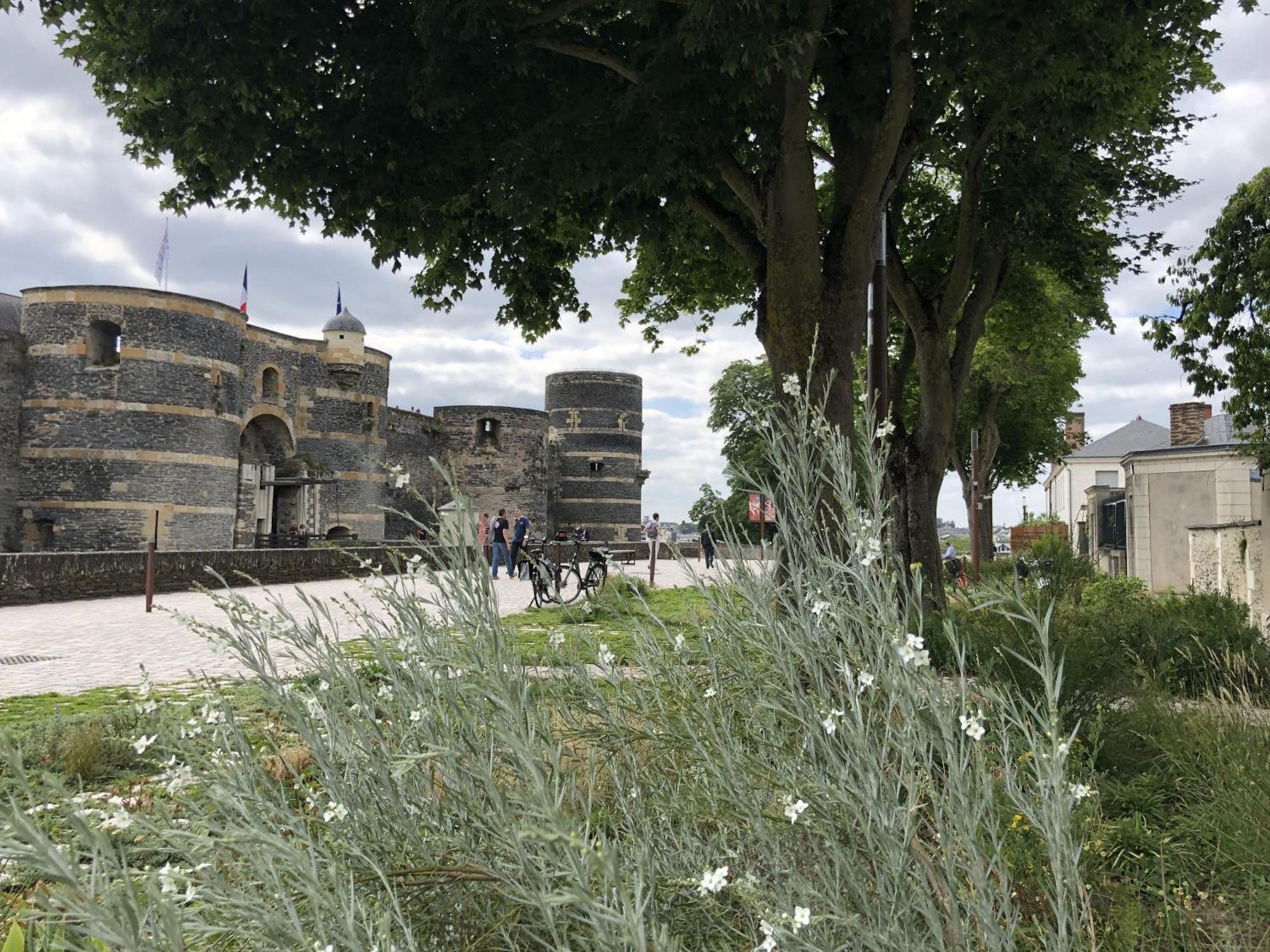 Maison Bout Du Monde Angers Hyper Centre Εξωτερικό φωτογραφία